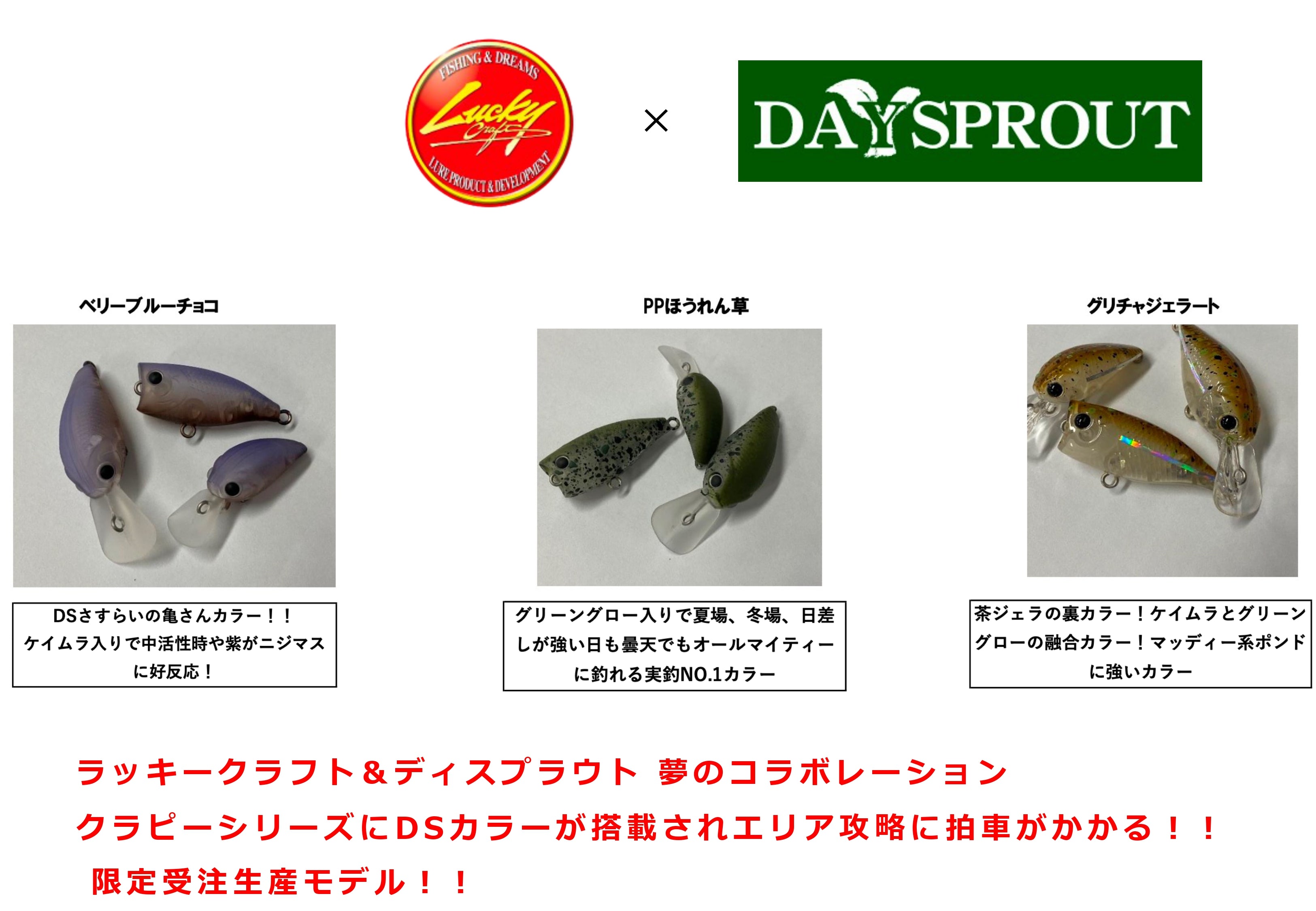 【数量限定】ラッキークラフト × ディスプラウトコラボカラー クラピーシリーズ / Lucky Craft× DAYSPROUT Color  Series