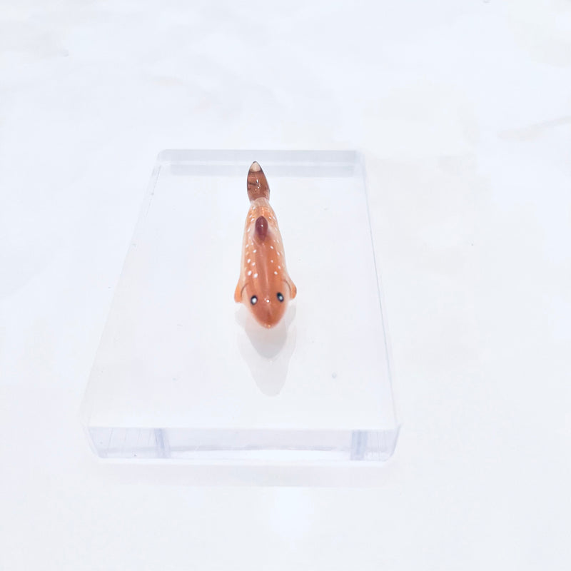 Load image into Gallery viewer, mokomomo × Fish Hook コラボアクセサリー / mokomomo × Fish Hook collaboration accessories
